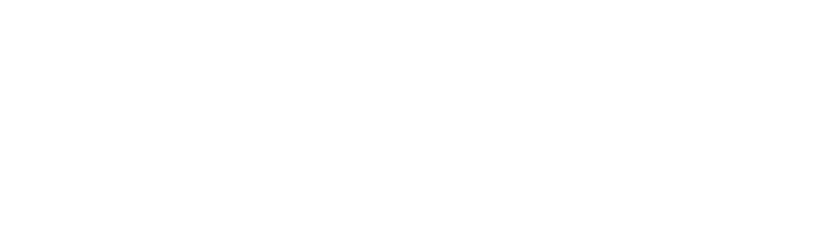 Alva Stone Group